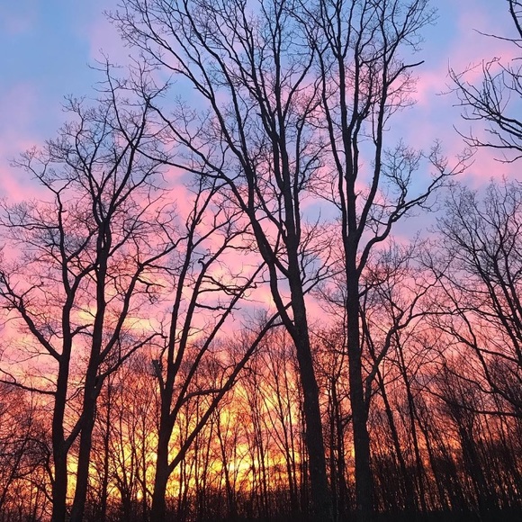 Meet your Posher, Mila - Picture 1 of 1